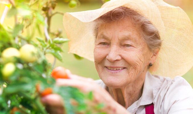 Gardening tips for seniors