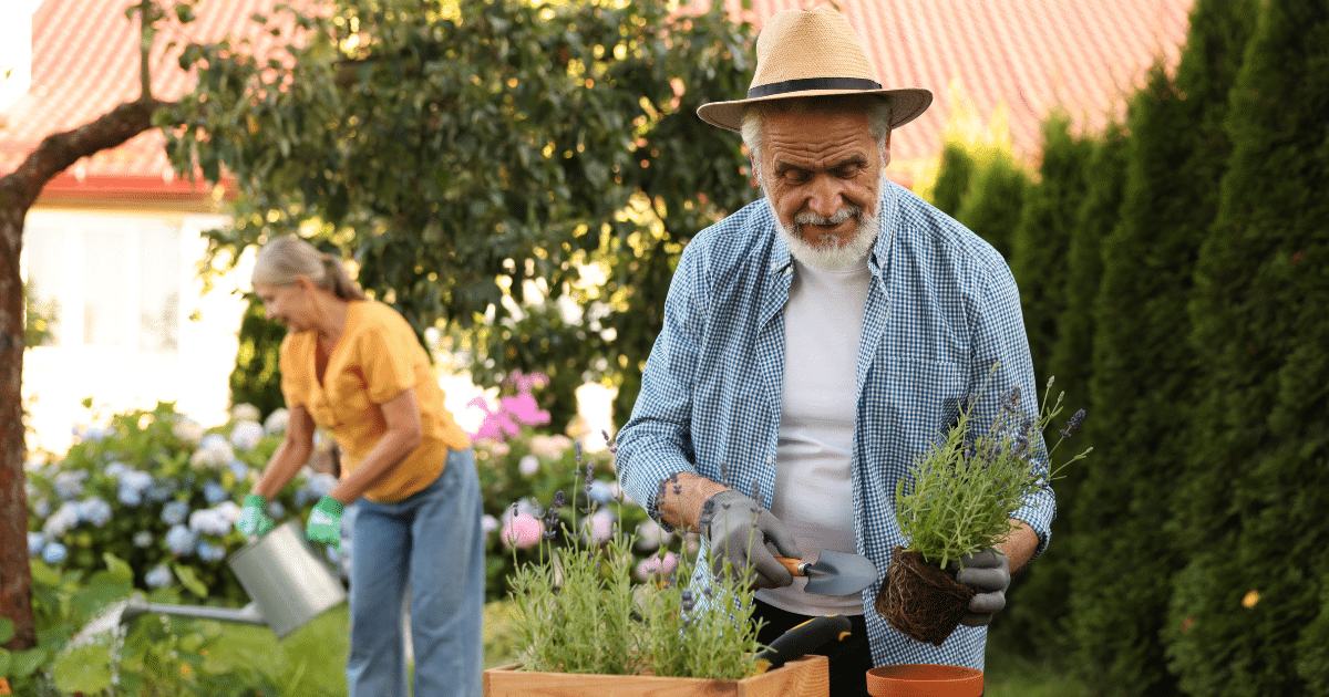 Older couple gardening and staying independent longer at home